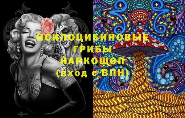 ГАЛЛЮЦИНОГЕННЫЕ ГРИБЫ Россошь