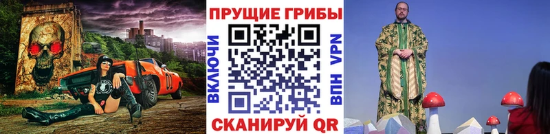 Псилоцибиновые грибы Magic Shrooms  Енисейск 