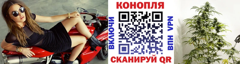 мориарти какой сайт  Енисейск  Бошки Шишки Amnesia 
